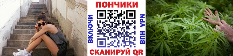 Купить закладки  Острогожск  Бошки марихуана марихуана 